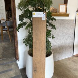 Porcelanato Teca Imbuia Acetinado 20x121 - Helena
