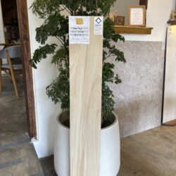 Porcelanato Tenessi Beige Acetinado 20x122 - Embramaco