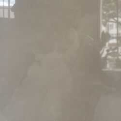 Unique_polido_-_Helena_-_61x120_3
